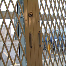 entry door scissor gate