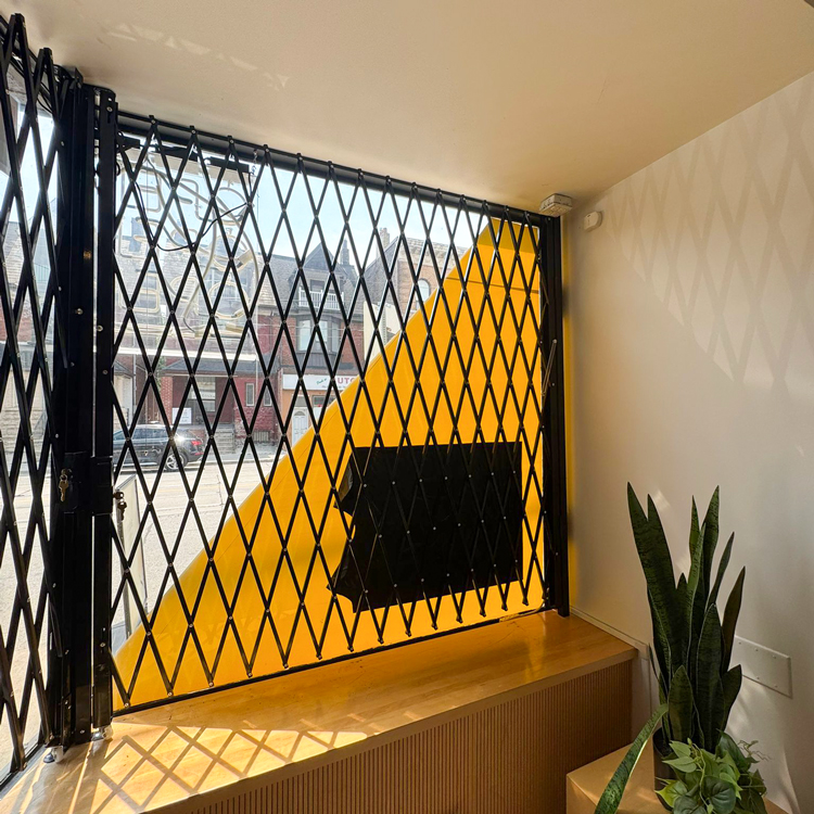 window-Security-Grille-11